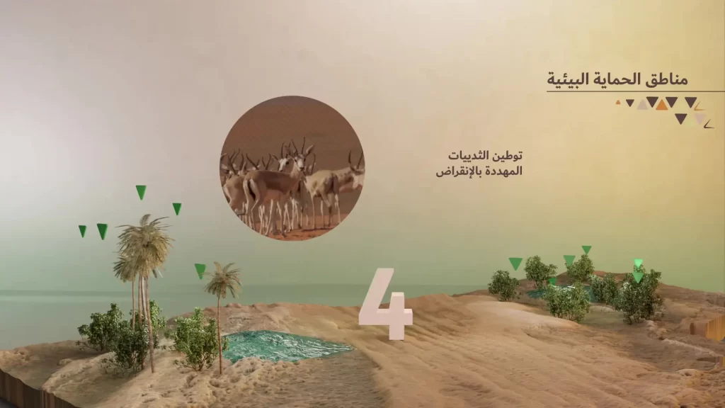 KING ABDULAZIZ ROYAL RESERVE